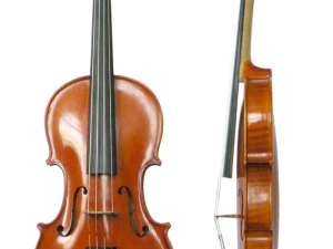 Violin